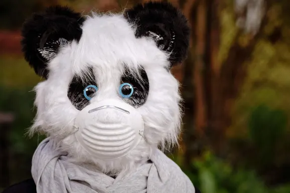 SlotsWin Kasyno Wsparcie